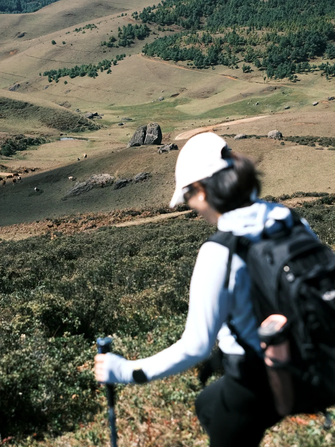 昆明周边踏秋约搭子!去大自然感知幸福吧