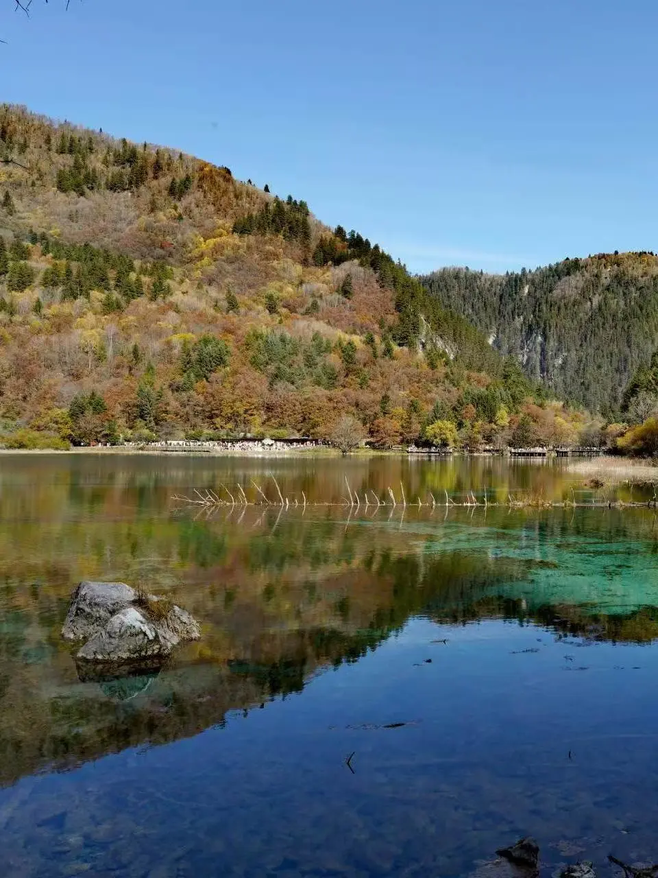 11.14📍九寨沟已回,已崩溃😭说点大实话……