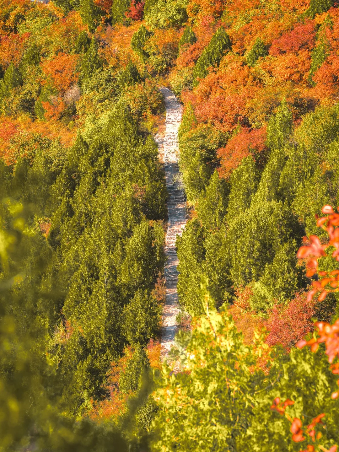 天啊！北京这座山怕是打翻了上帝的调色盘吧