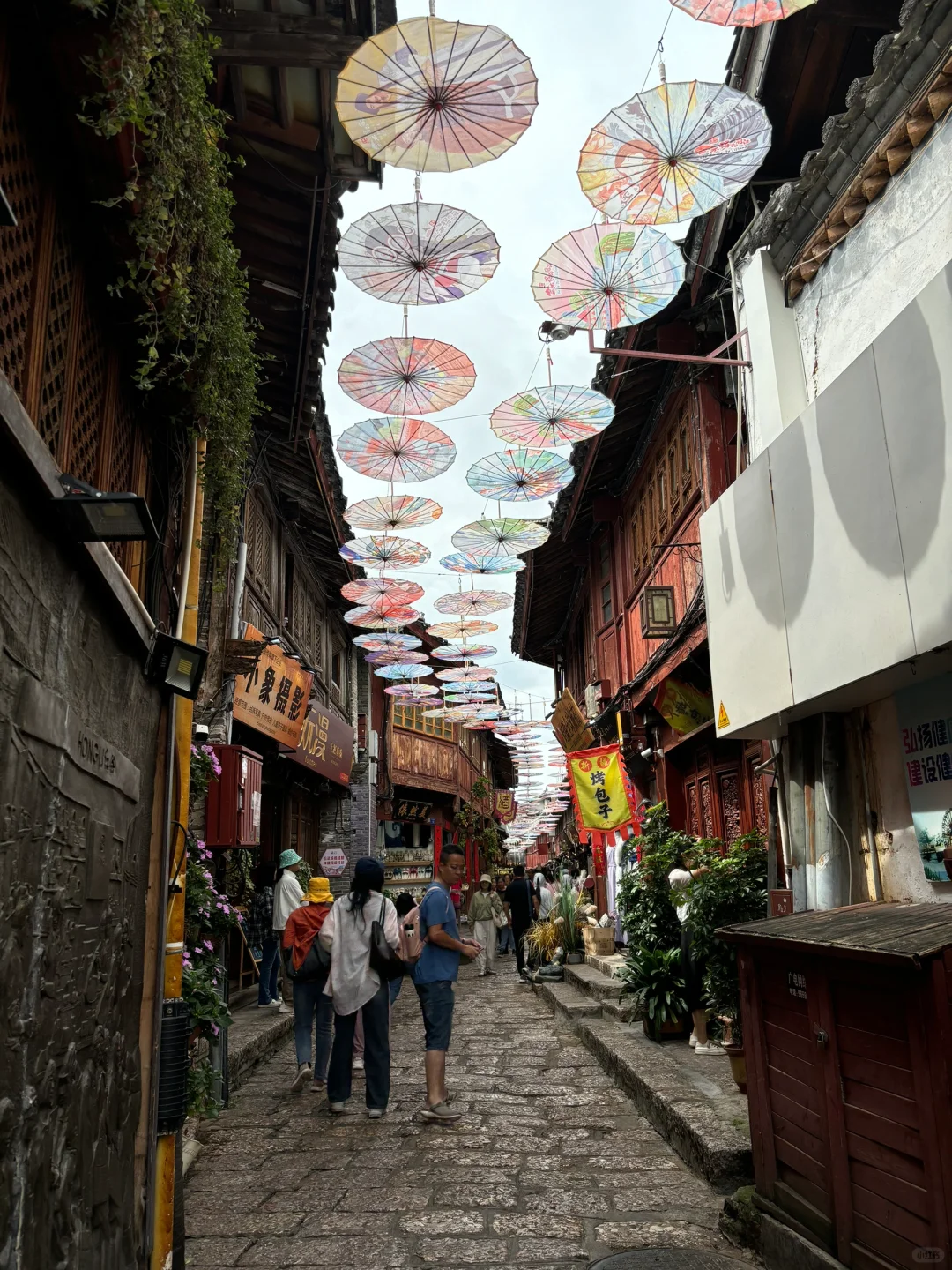 【丽江旅游】云杉坪&蓝月谷&丽江古镇攻略