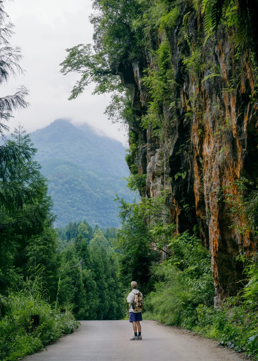 比起喀纳斯，我更爱这个藏在四川的秘境森林