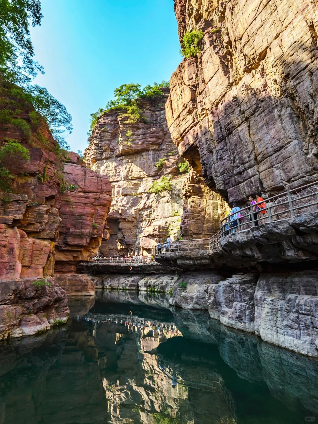 真中❗️｜河南省景点分布大全