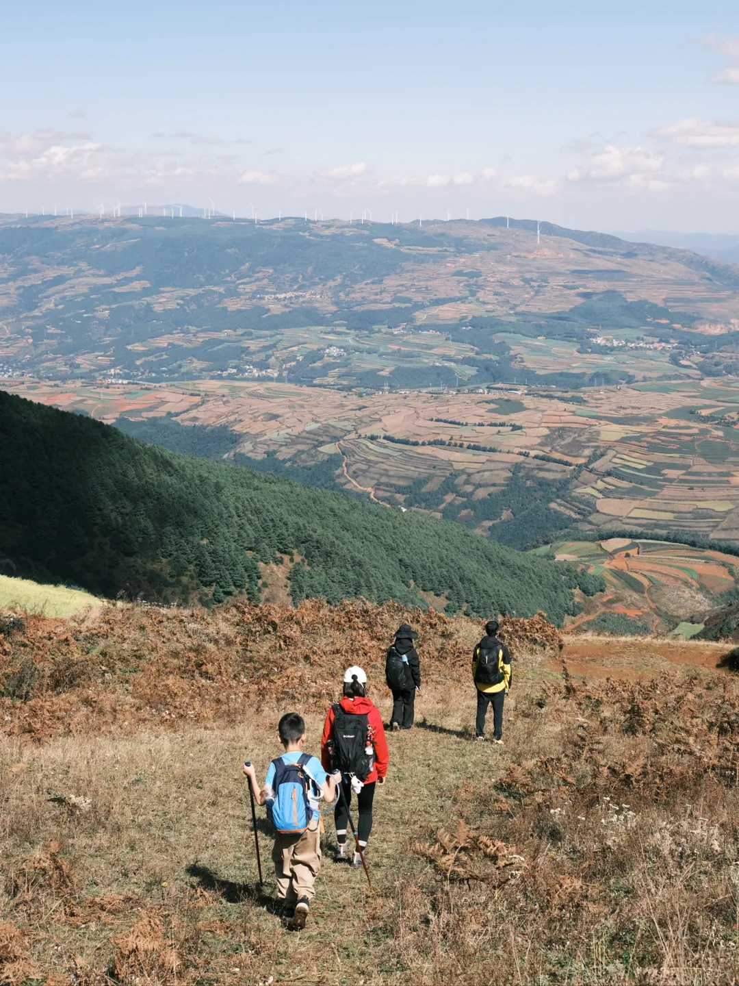 昆明周边踏秋约搭子!去大自然感知幸福吧