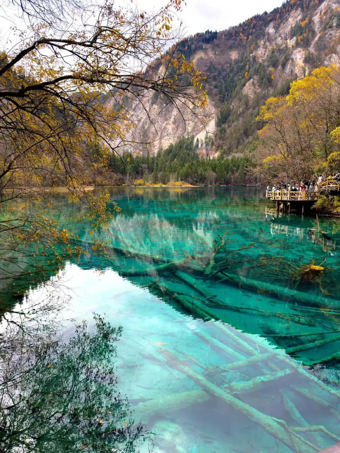 11.14📍九寨沟已回,已崩溃😭说点大实话……