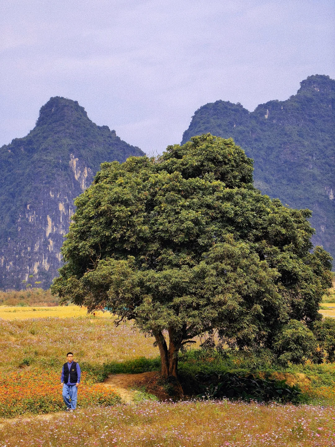 我宣布‼️广西可以封神了‼️