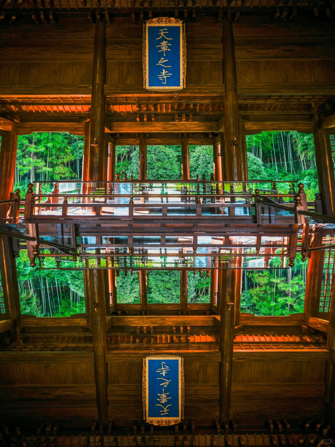 今年为止,我最喜欢的旅游城市出现了🌳