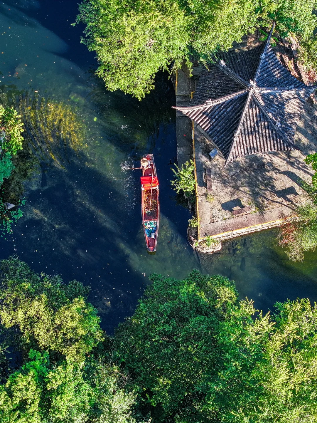今年为止,我最喜欢的旅游城市出现了🌳