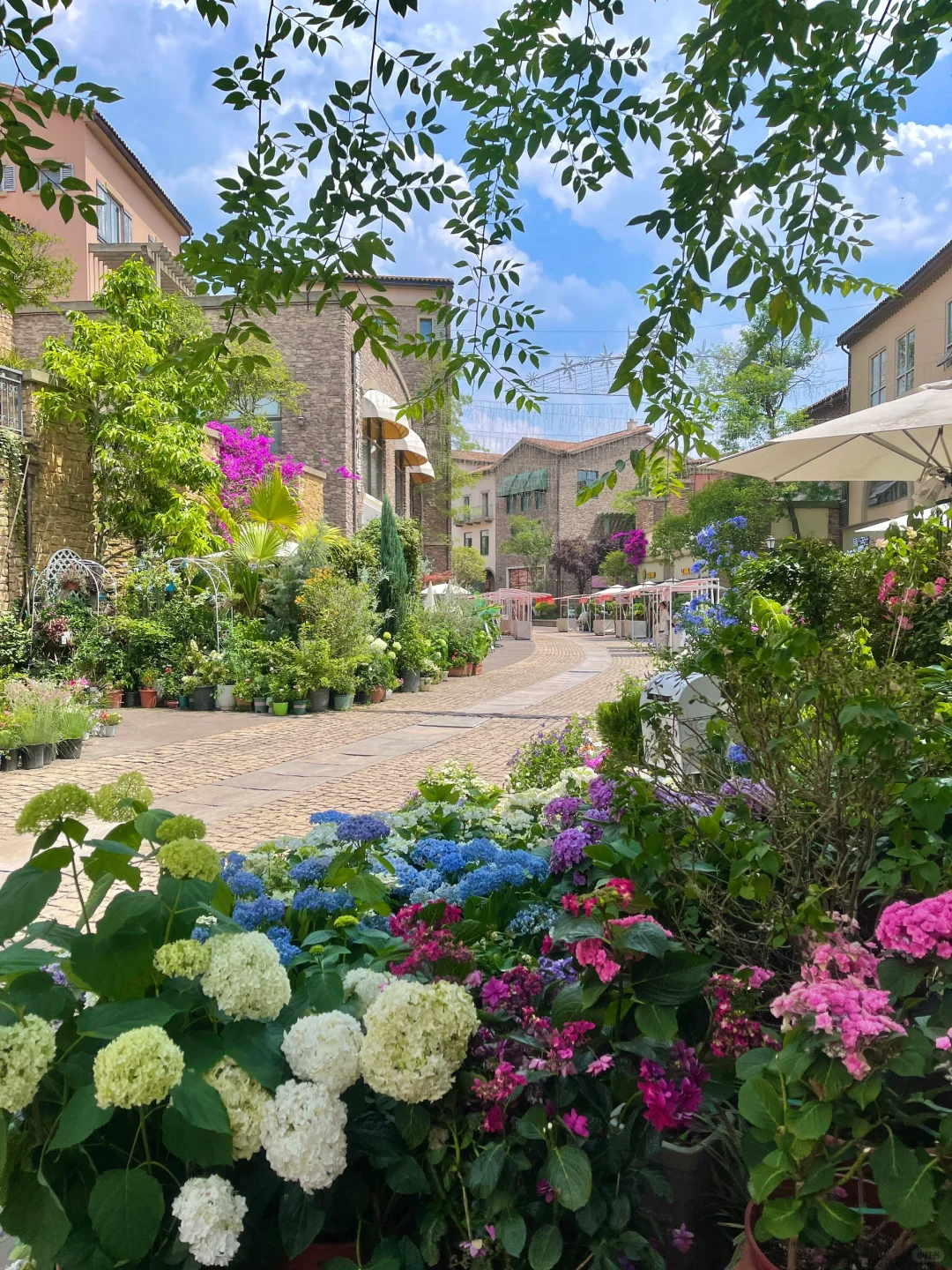 人生建议：离开成都前一定要去一次！！！！