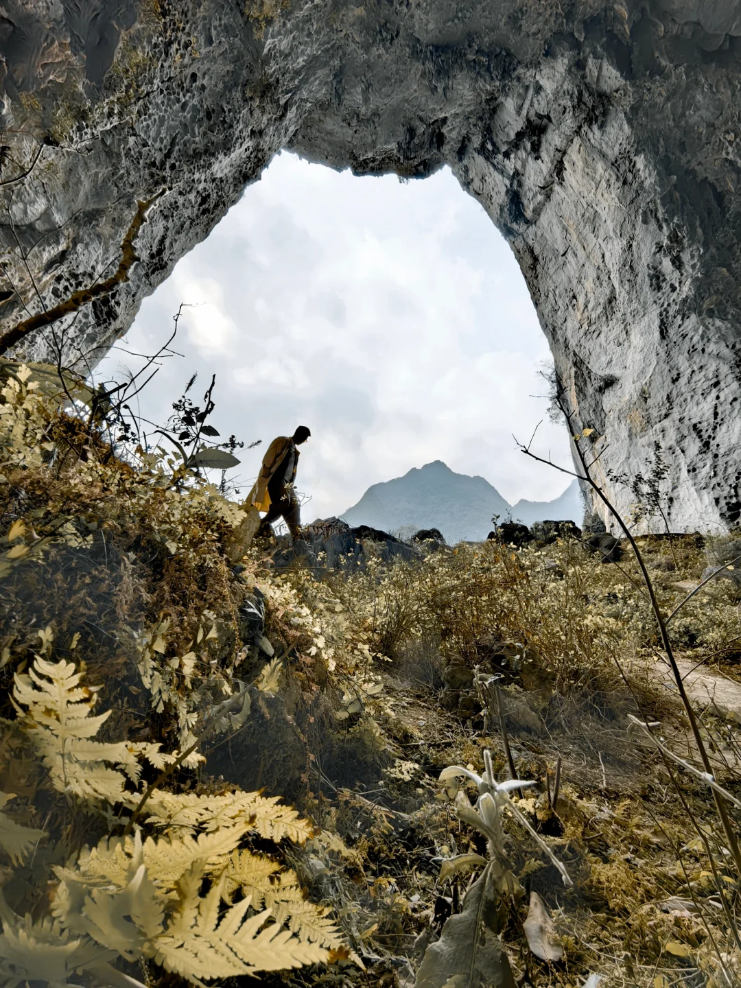 我宣布‼️广西可以封神了‼️