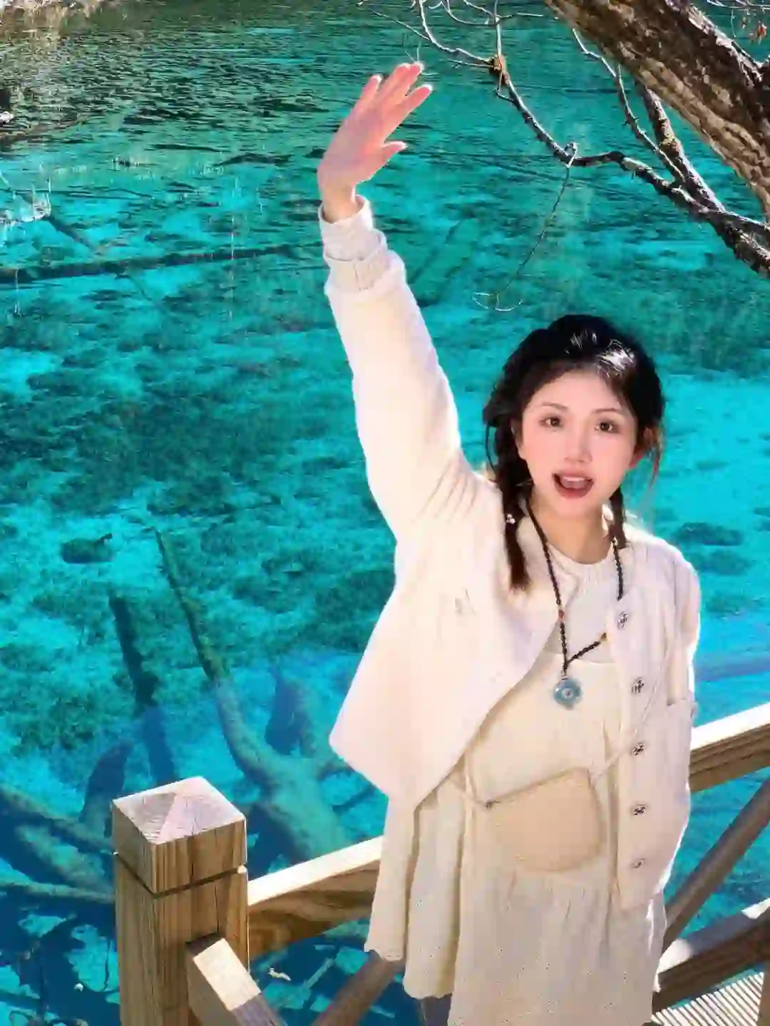 11.14📍九寨沟已回,已崩溃😭说点大实话……