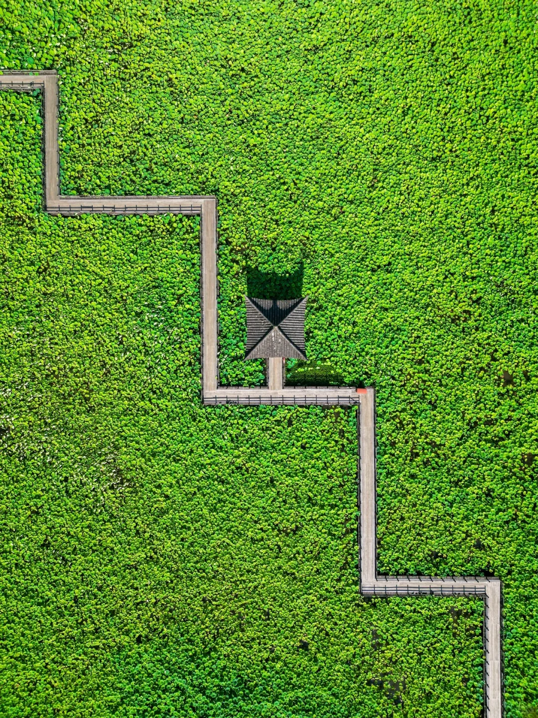 今年为止,我最喜欢的旅游城市出现了🌳