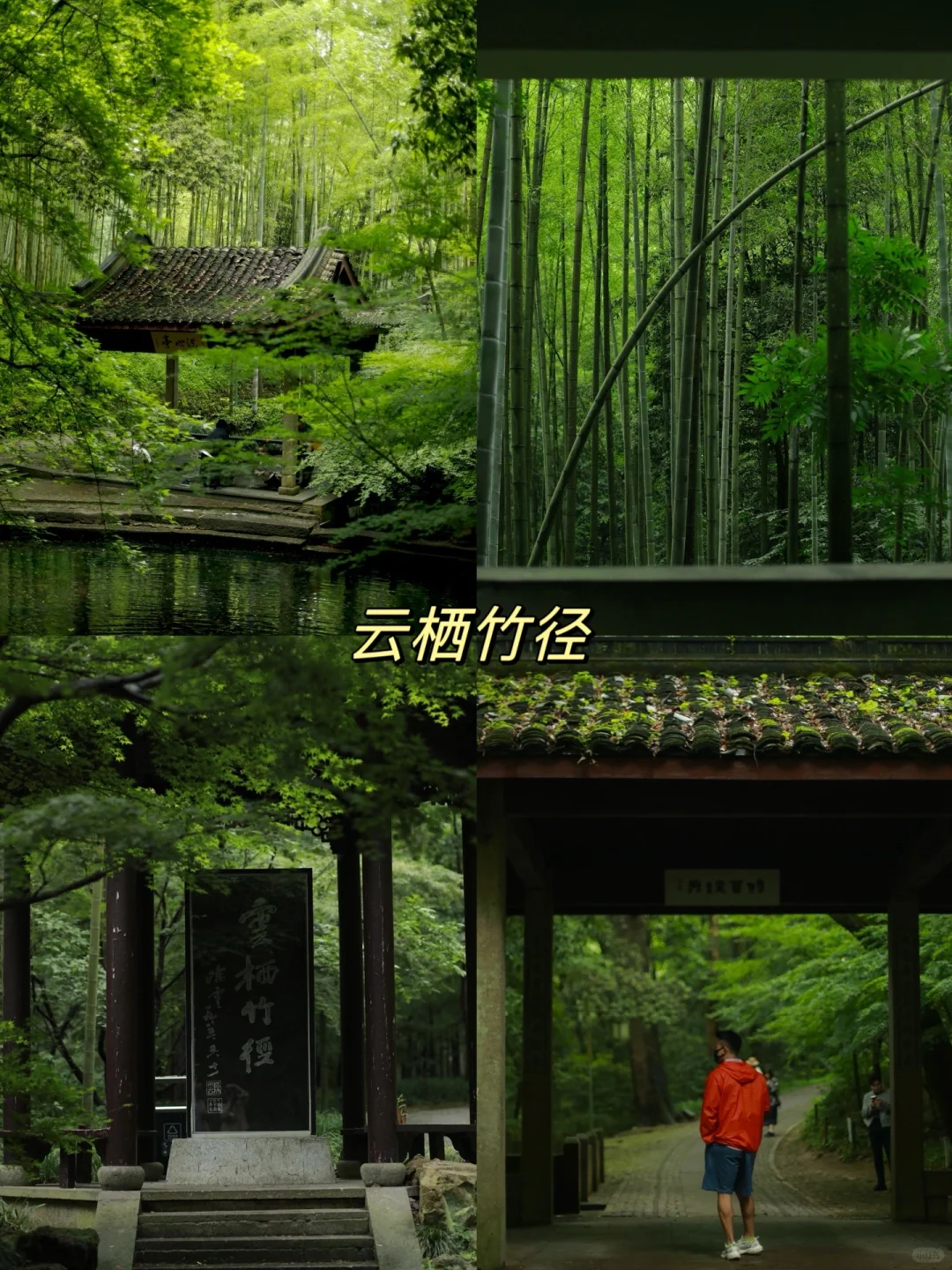 杭州最值得去的十大景点‼️（本地人推荐）