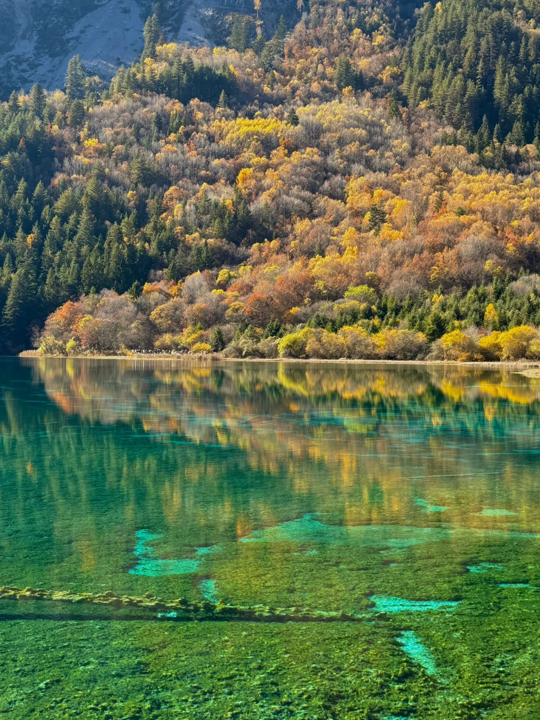 11.13📍川西已回，live实况原图出，劝退不了