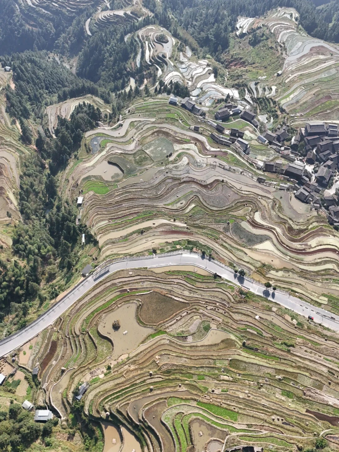 深圳打工人挑战每周末旅游第4️⃣7️⃣站从江