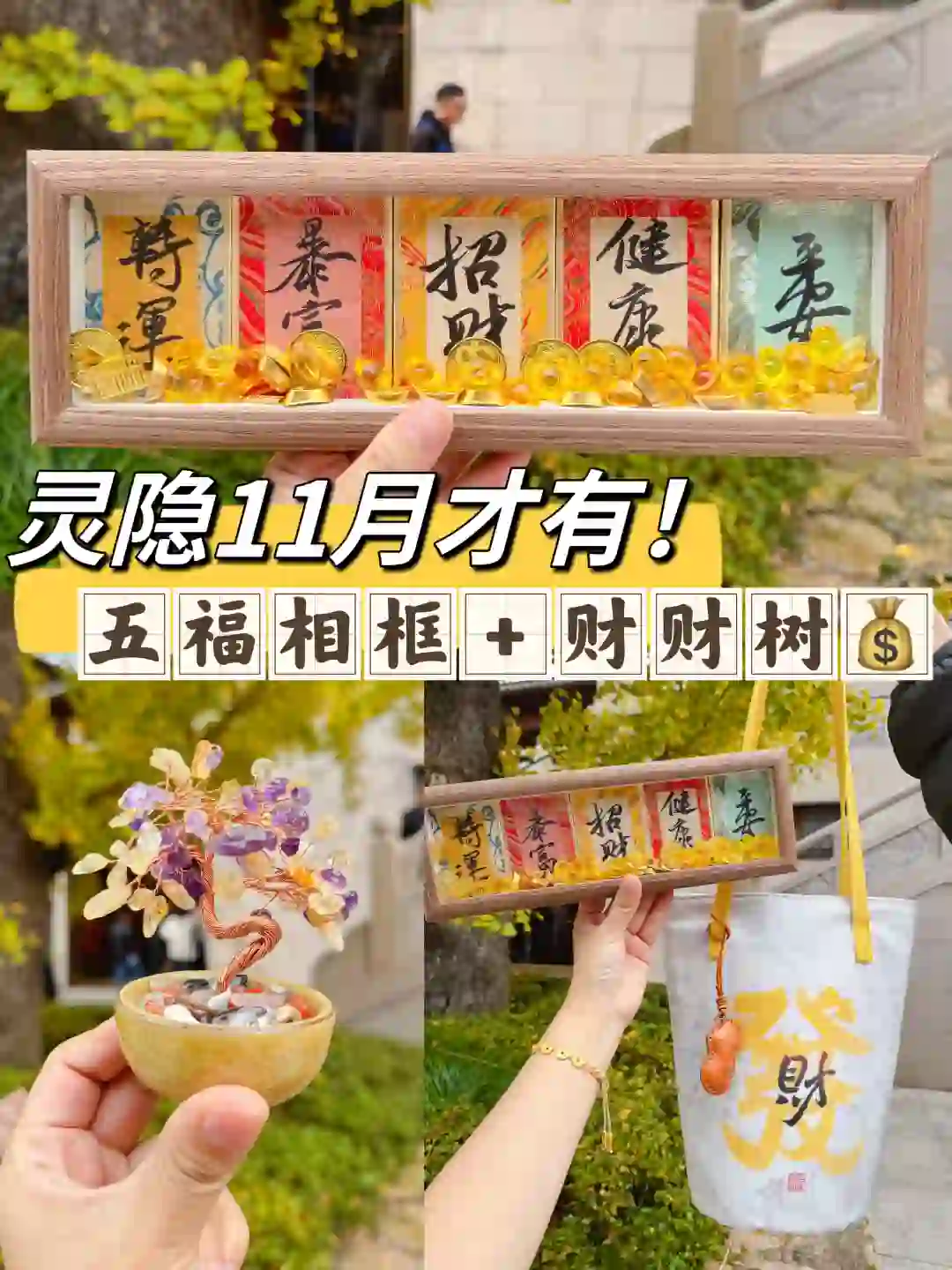 灵隐11月才有！五福摇钱树树！