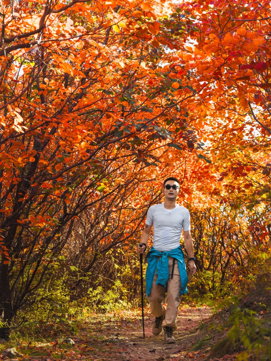 天啊！北京这座山怕是打翻了上帝的调色盘吧