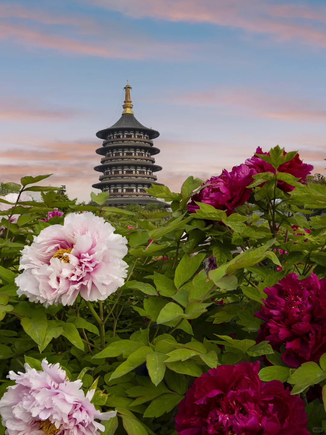 真中❗️｜河南省景点分布大全