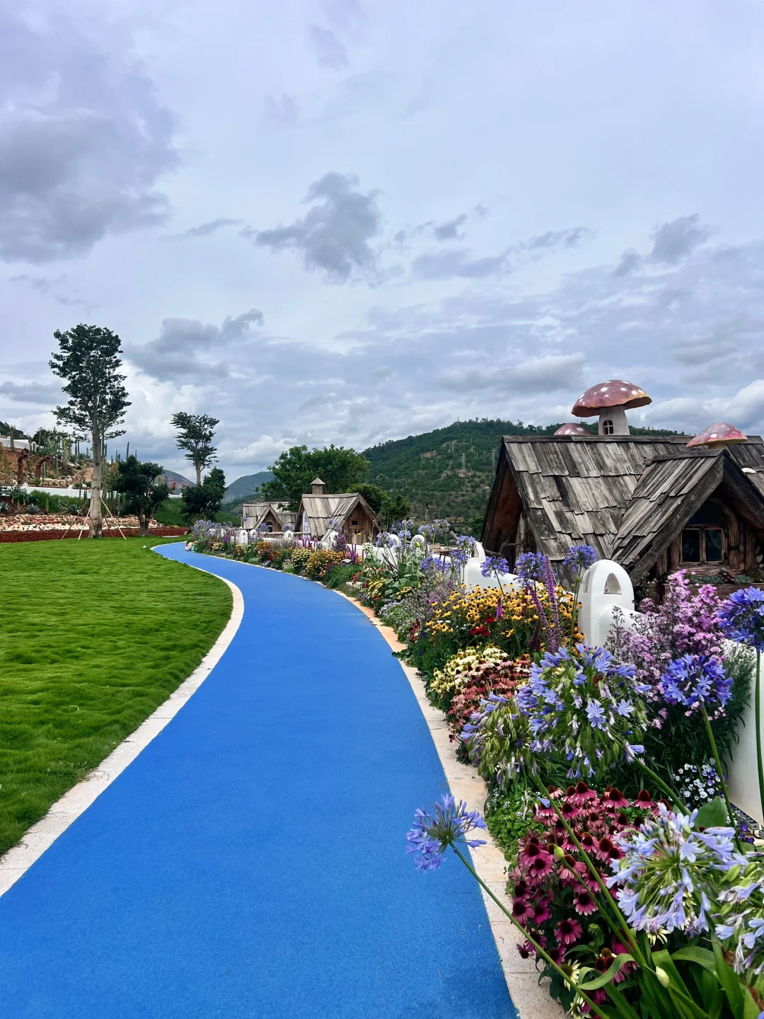 本以为大理已经够美了💦直到来了这里……