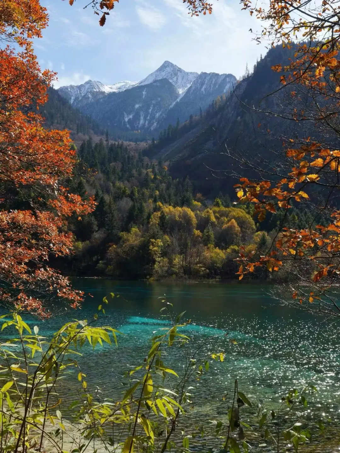 11.14📍九寨沟已回,已崩溃😭说点大实话……