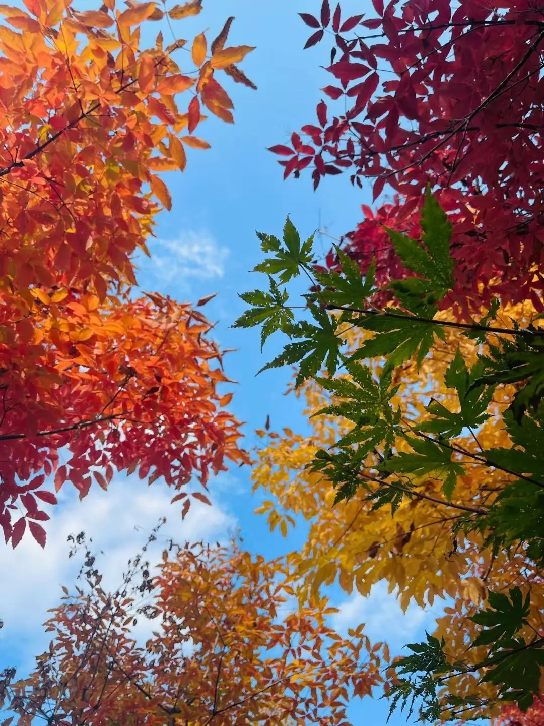 成都周边一日游