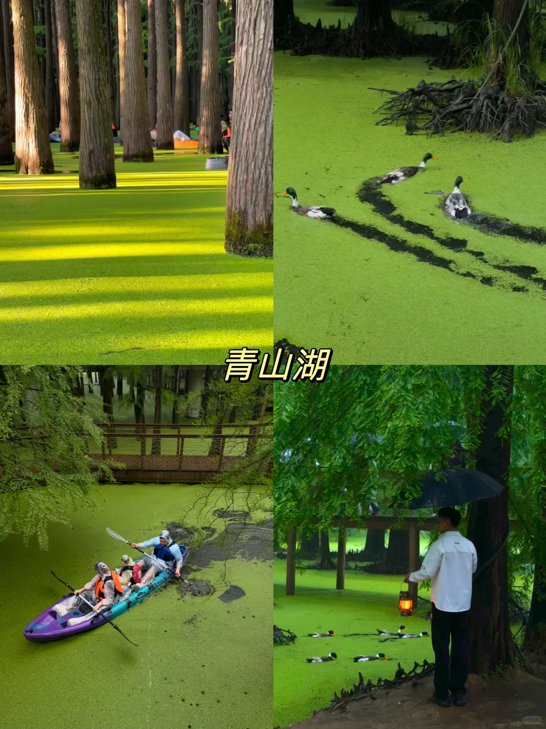 杭州最值得去的十大景点‼️（本地人推荐）