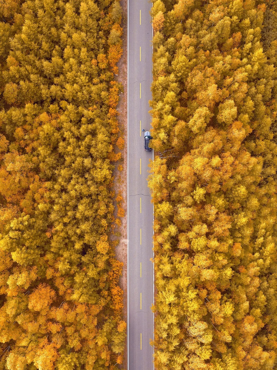 呼伦贝尔第一天🍂闯进油画里走不出来了