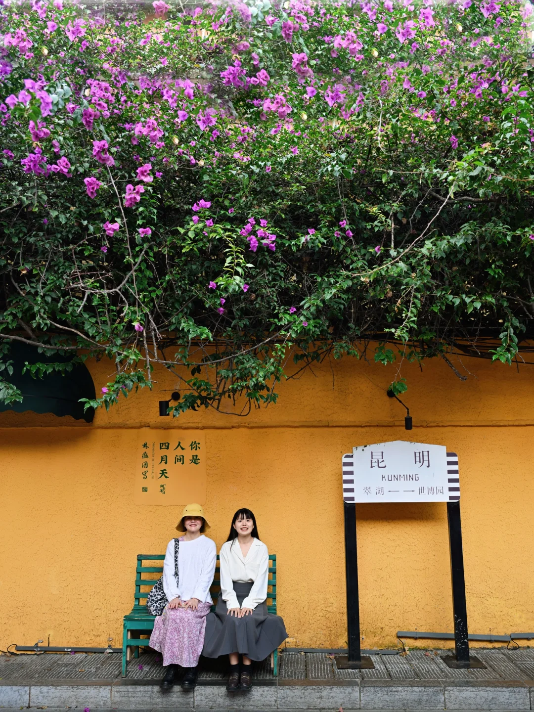 昆明去了，海鸥喂了，2天citywalk路线很满意