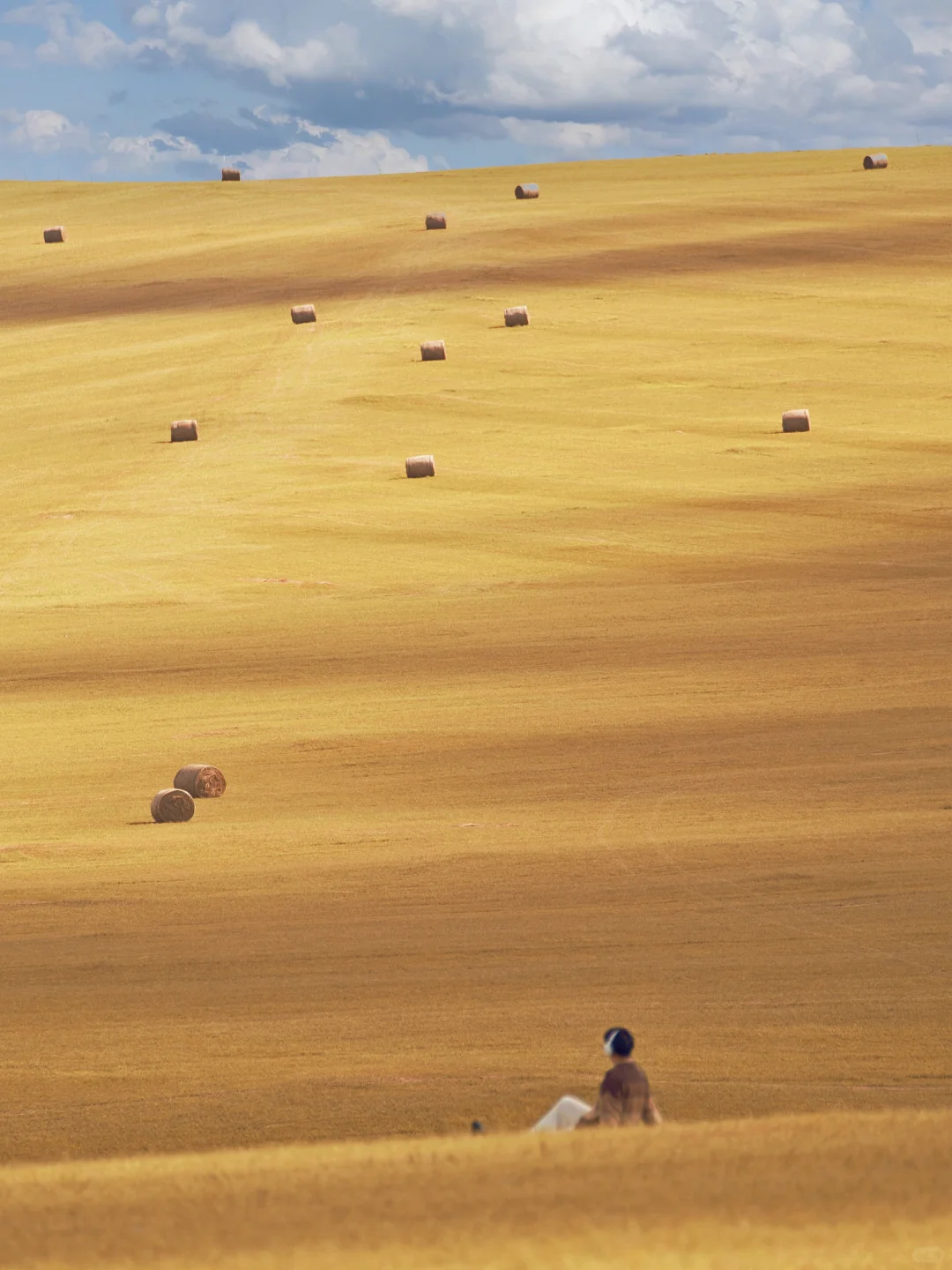 呼伦贝尔第一天🍂闯进油画里走不出来了