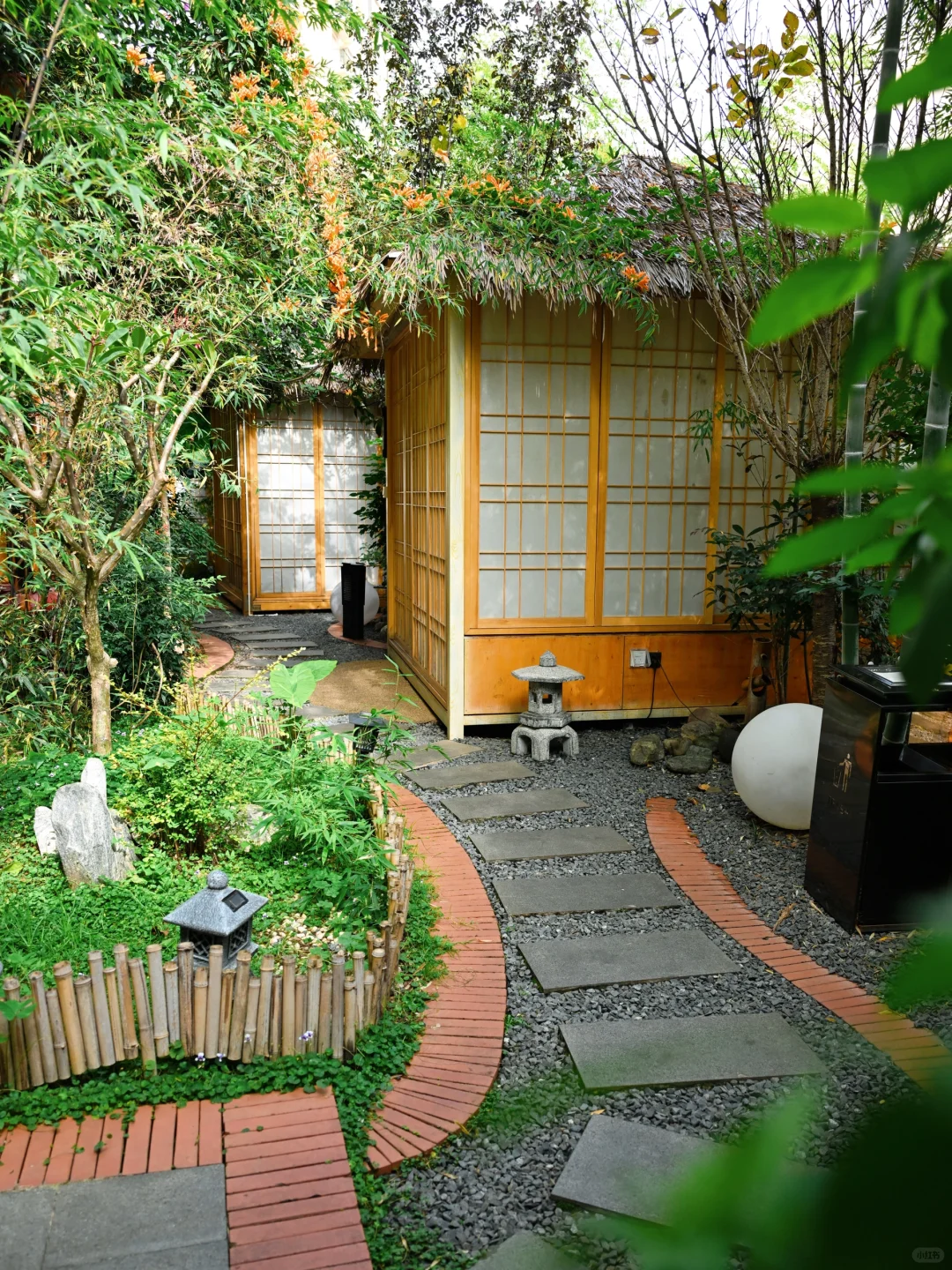 昆明去了，海鸥喂了，2天citywalk路线很满意