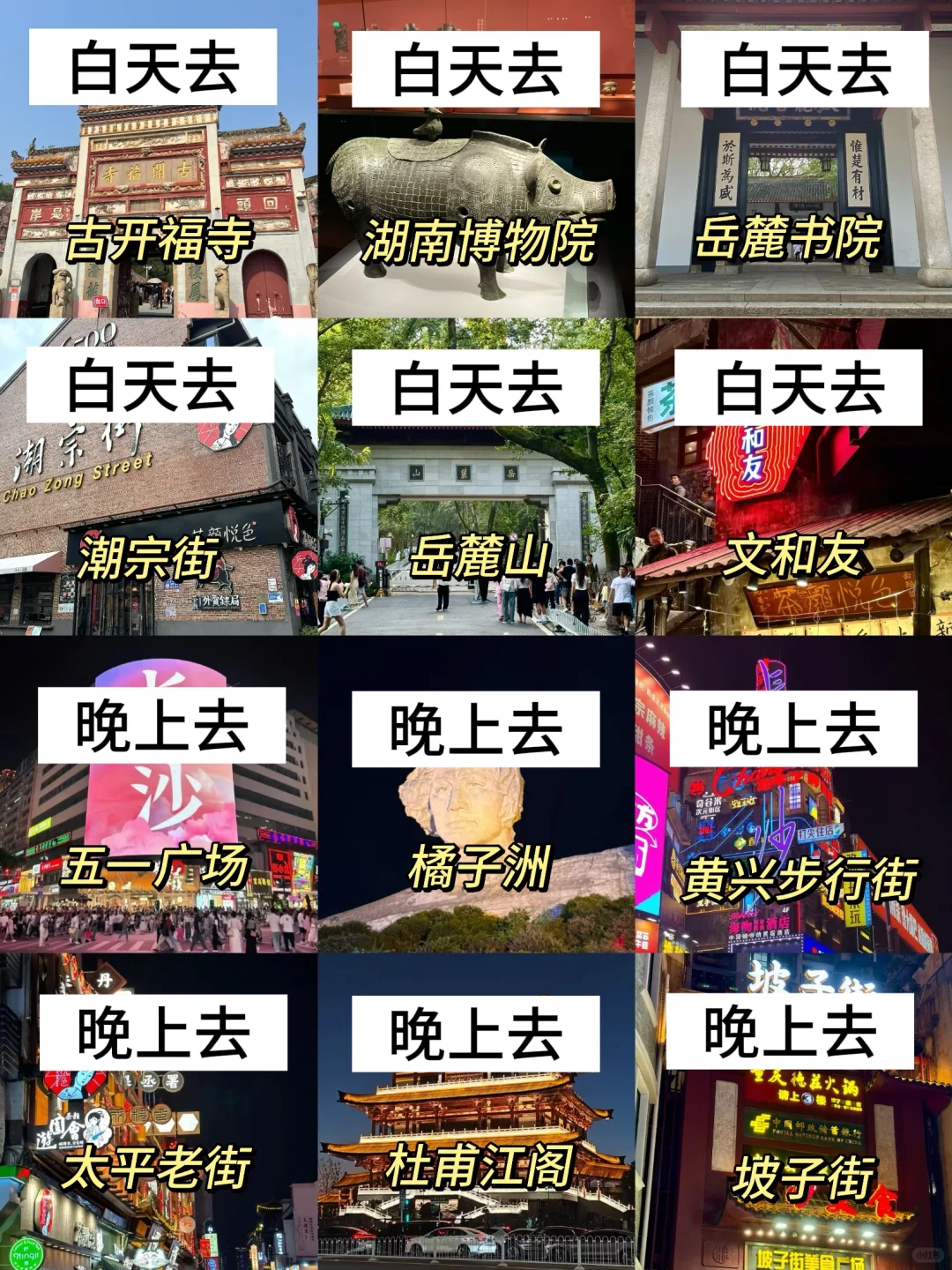 长沙11.10号现状📍真被这天气给整笑了😅……