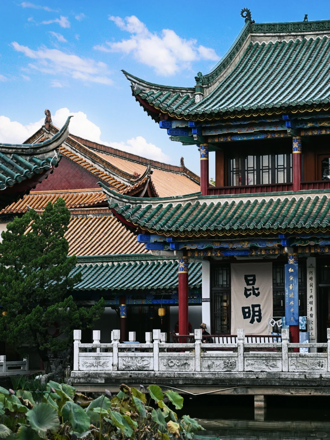 昆明去了，海鸥喂了，2天citywalk路线很满意