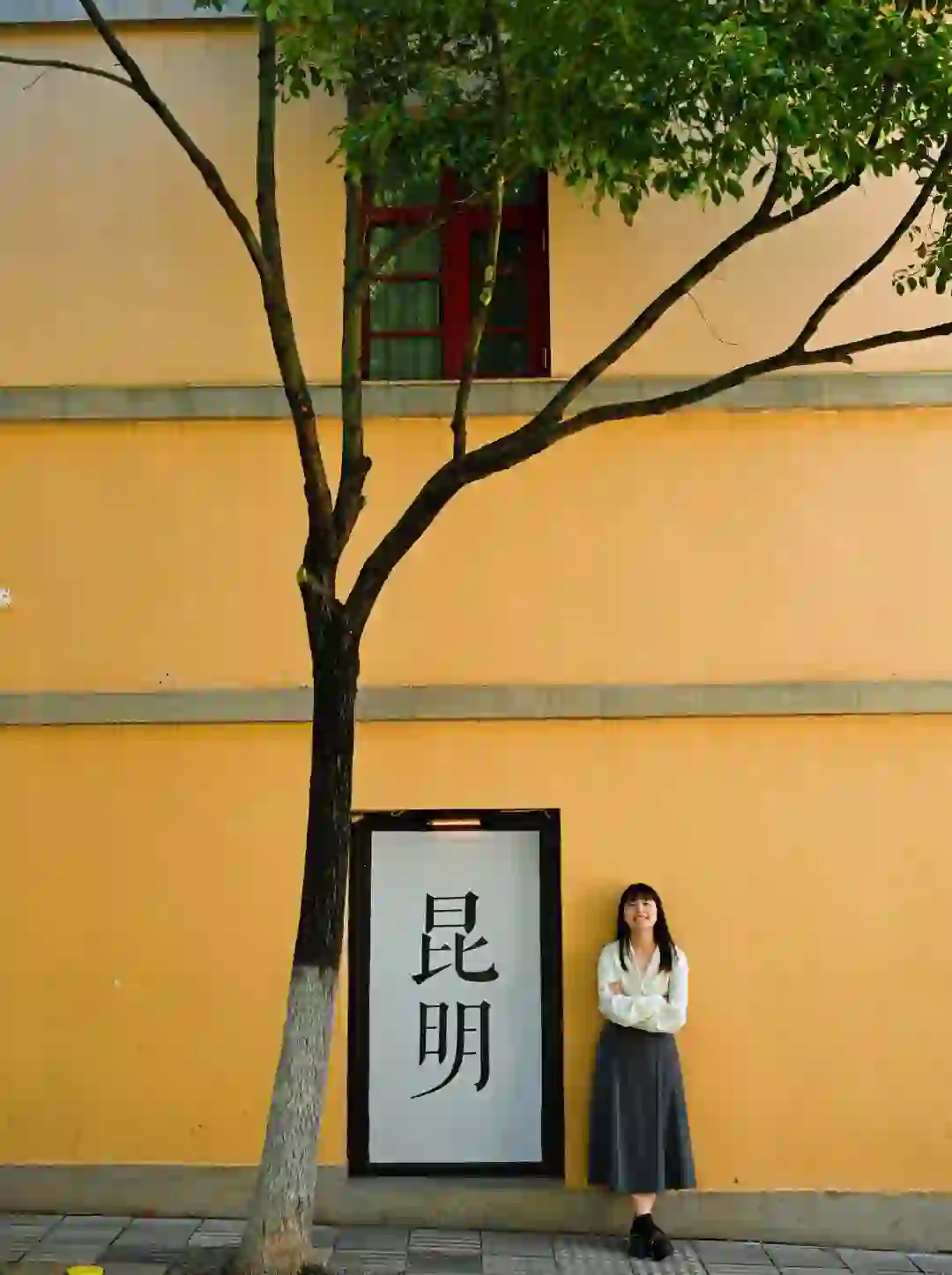 昆明去了，海鸥喂了，2天citywalk路线很满意