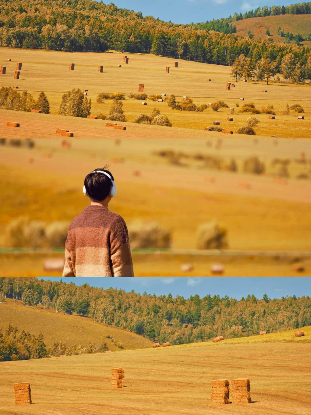 呼伦贝尔第一天🍂闯进油画里走不出来了