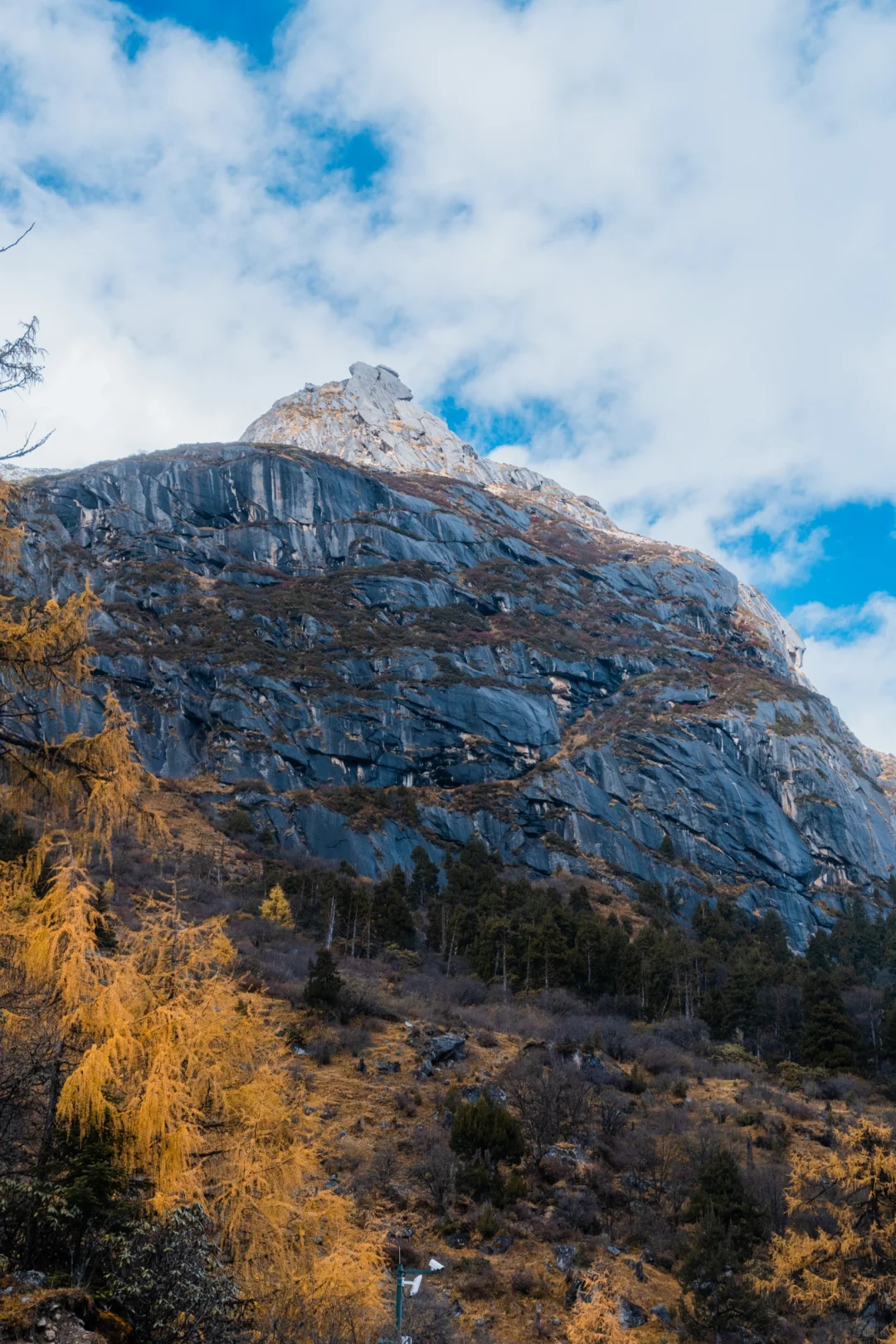 毕棚沟才回‼快来抄作业，巨巨巨详细‼