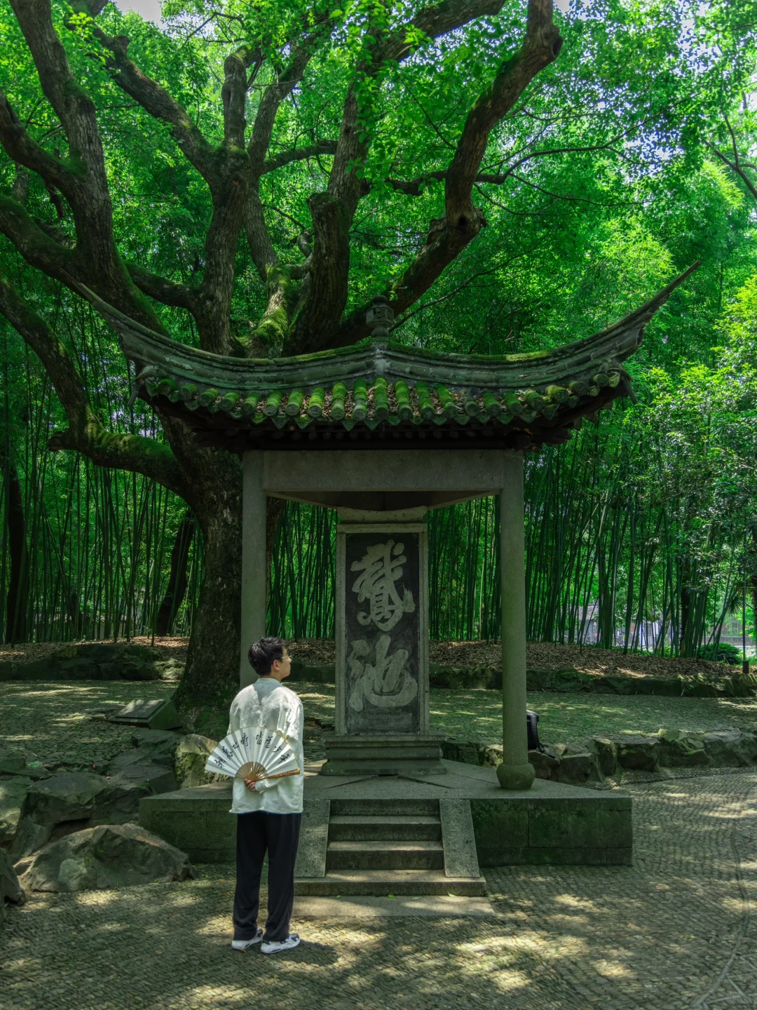 以为苏州已经很美了，直到我去了趟绍兴……