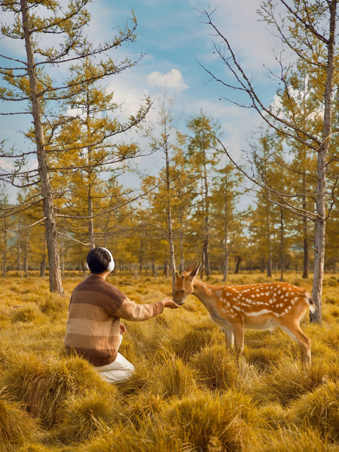呼伦贝尔第一天🍂闯进油画里走不出来了