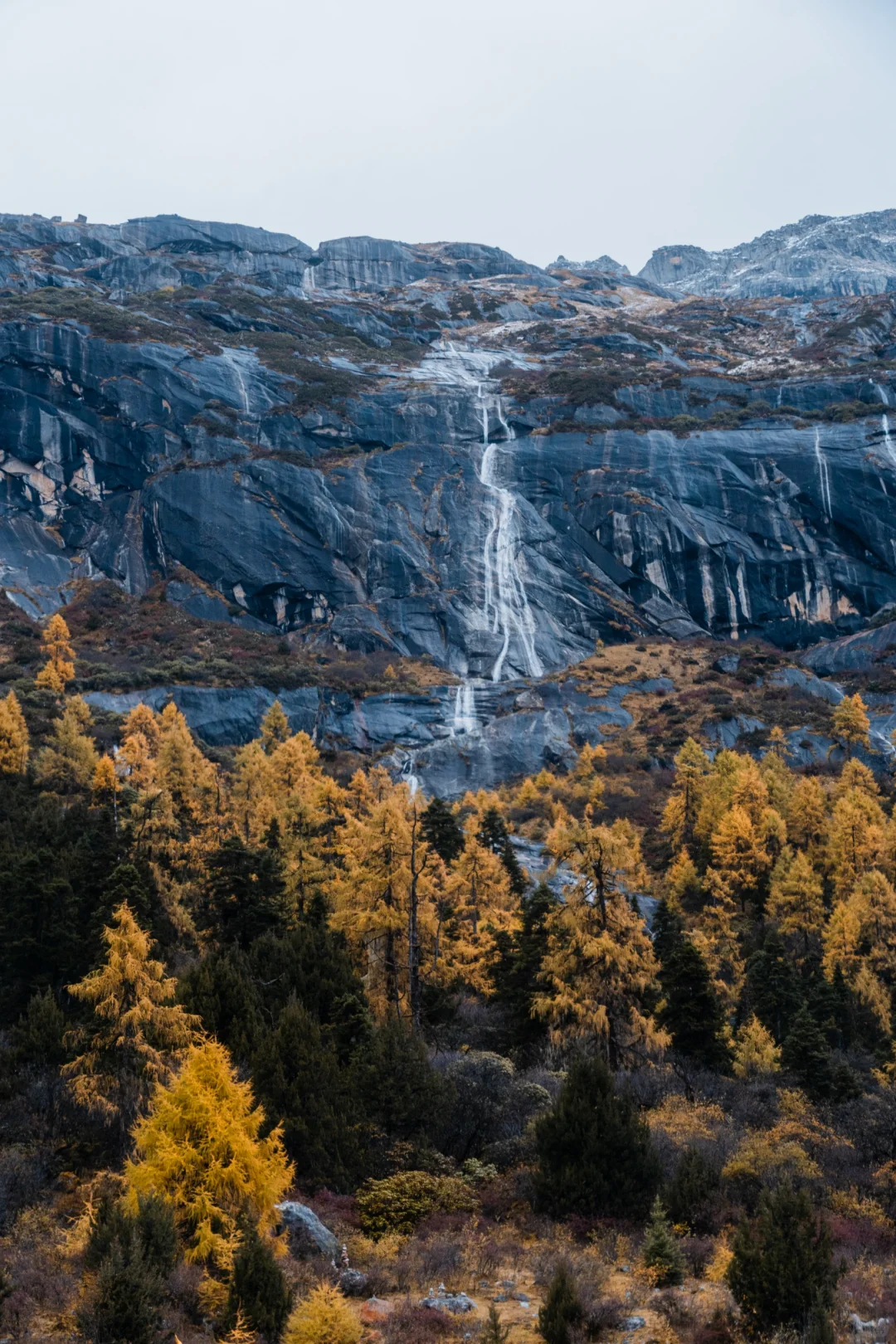毕棚沟才回‼快来抄作业，巨巨巨详细‼