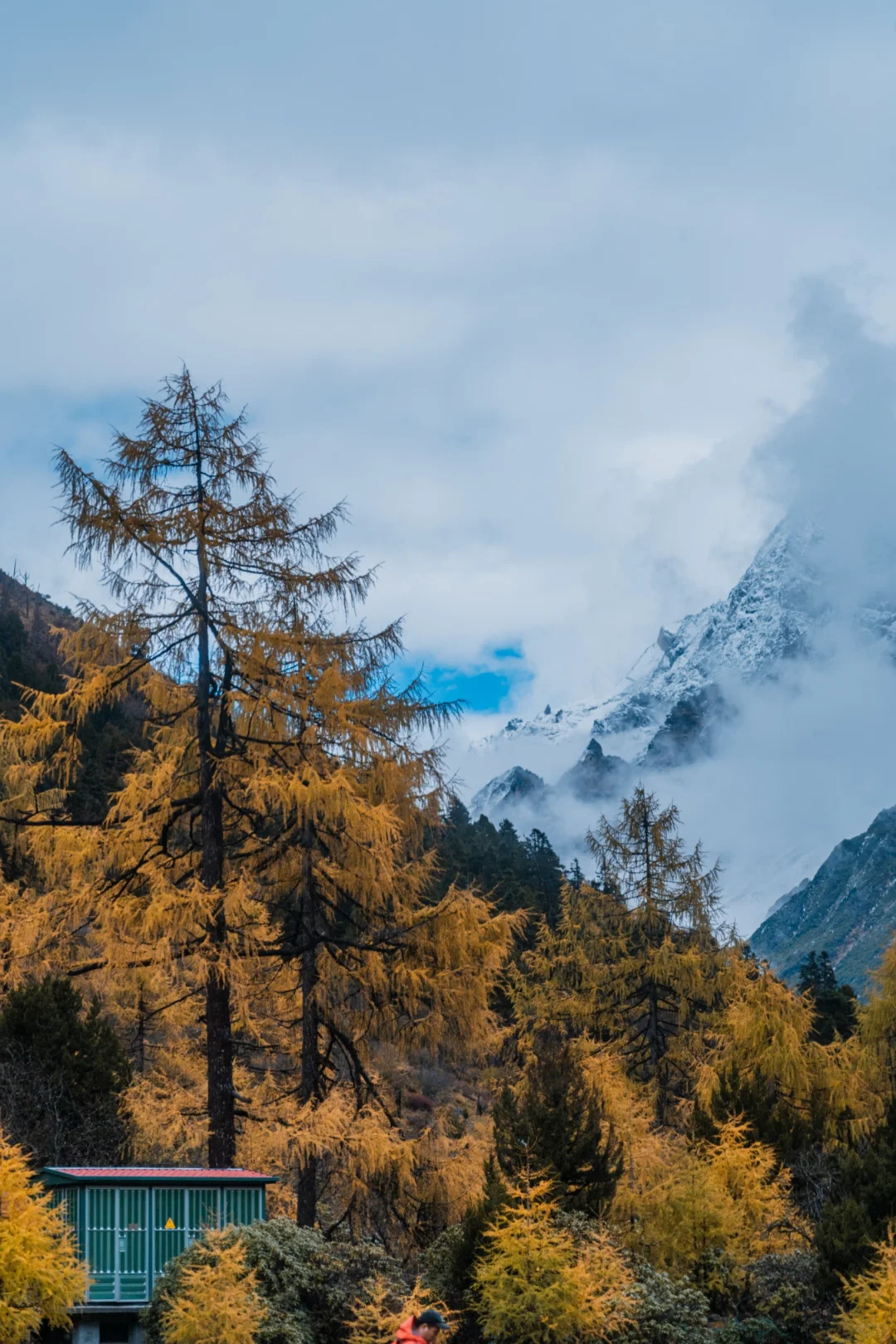 毕棚沟才回‼快来抄作业，巨巨巨详细‼