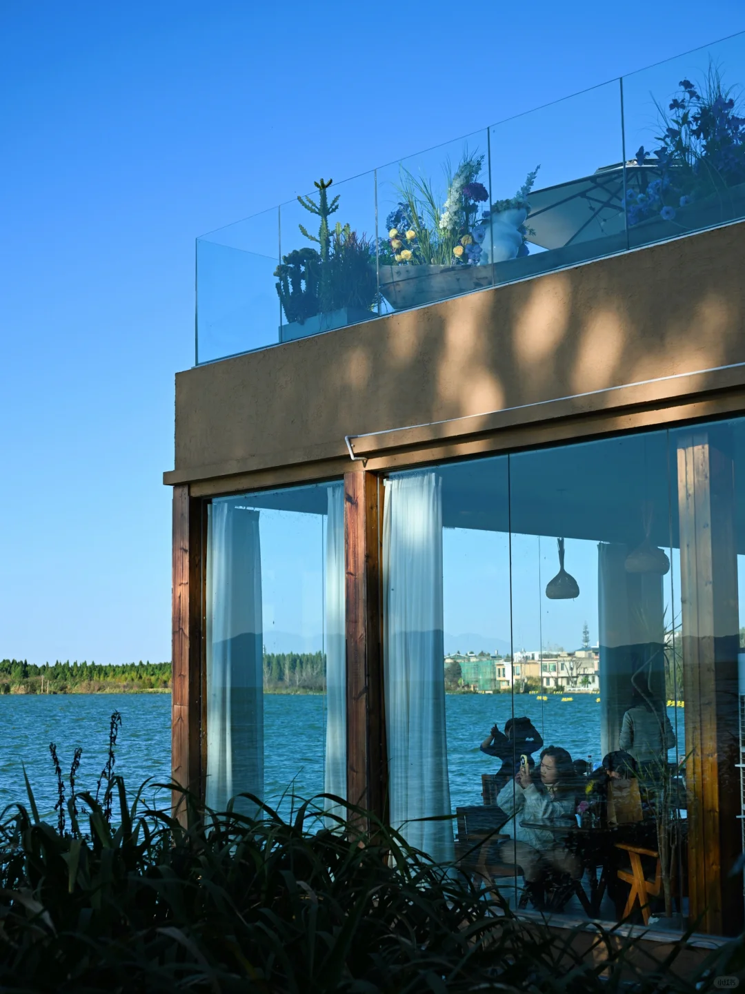 昆明去了，海鸥喂了，2天citywalk路线很满意