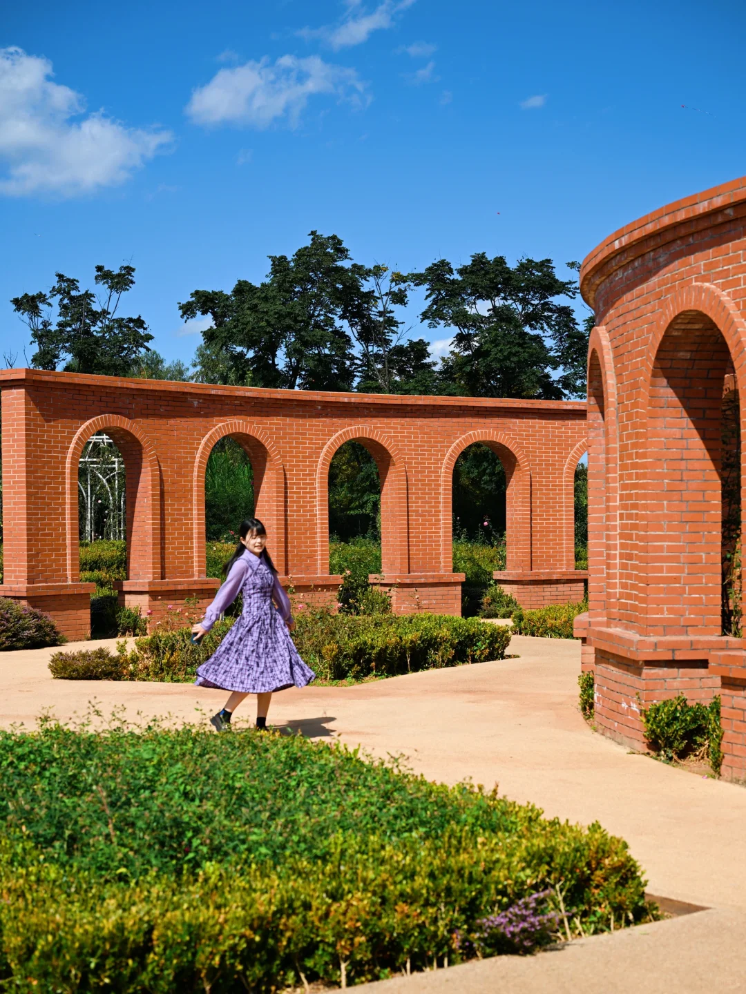 昆明去了，海鸥喂了，2天citywalk路线很满意