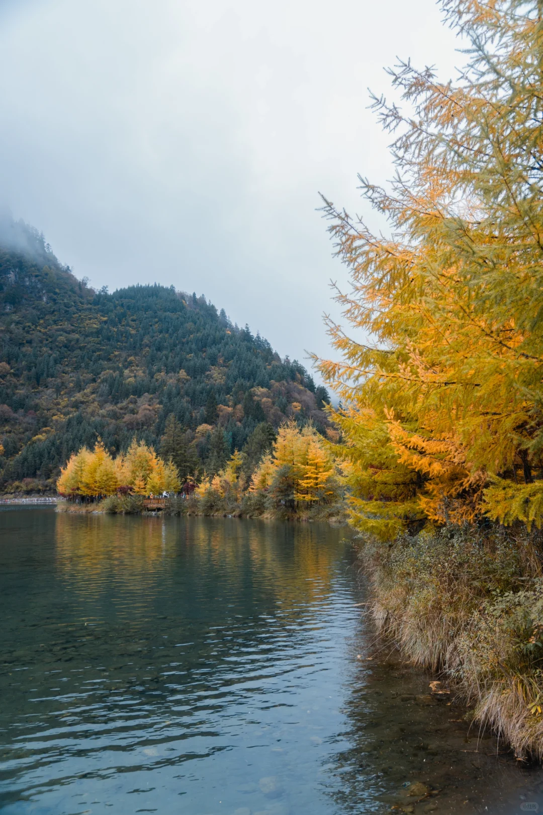 毕棚沟才回‼快来抄作业，巨巨巨详细‼