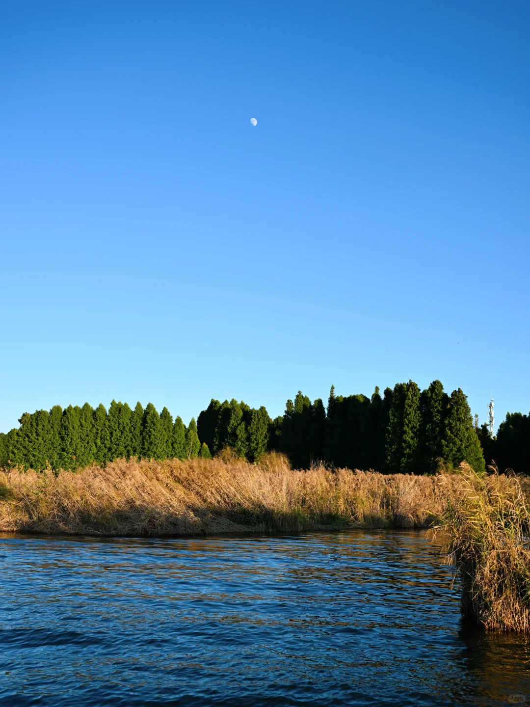 昆明去了，海鸥喂了，2天citywalk路线很满意