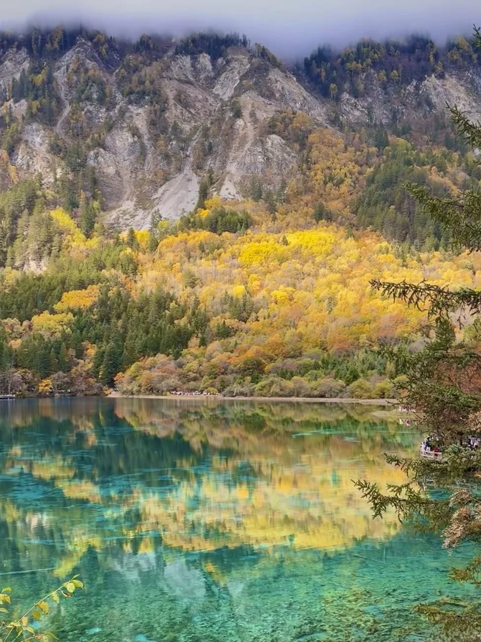 11.13📍九寨沟现状,拜托要去的姐妹听劝!