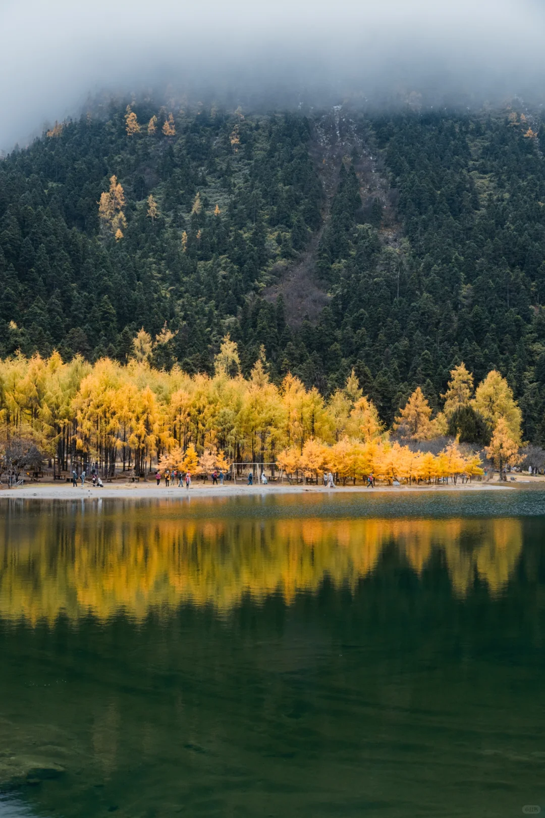毕棚沟才回‼快来抄作业，巨巨巨详细‼