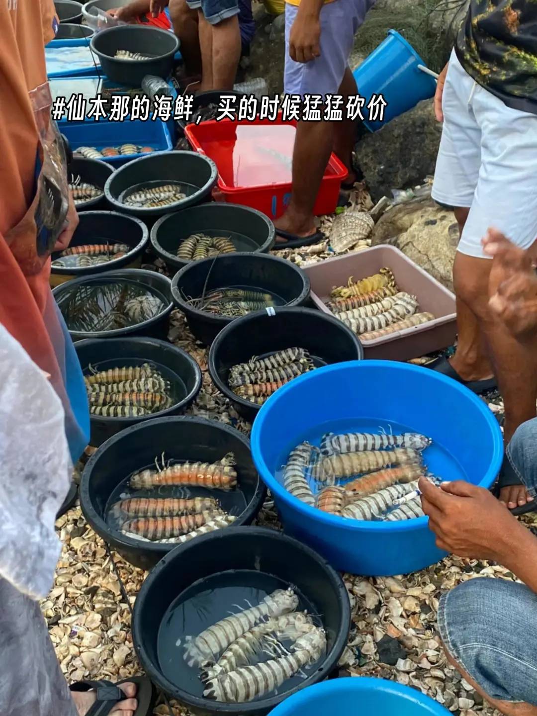 出国首选免签的马来西亚❗（6天5晚攻略）