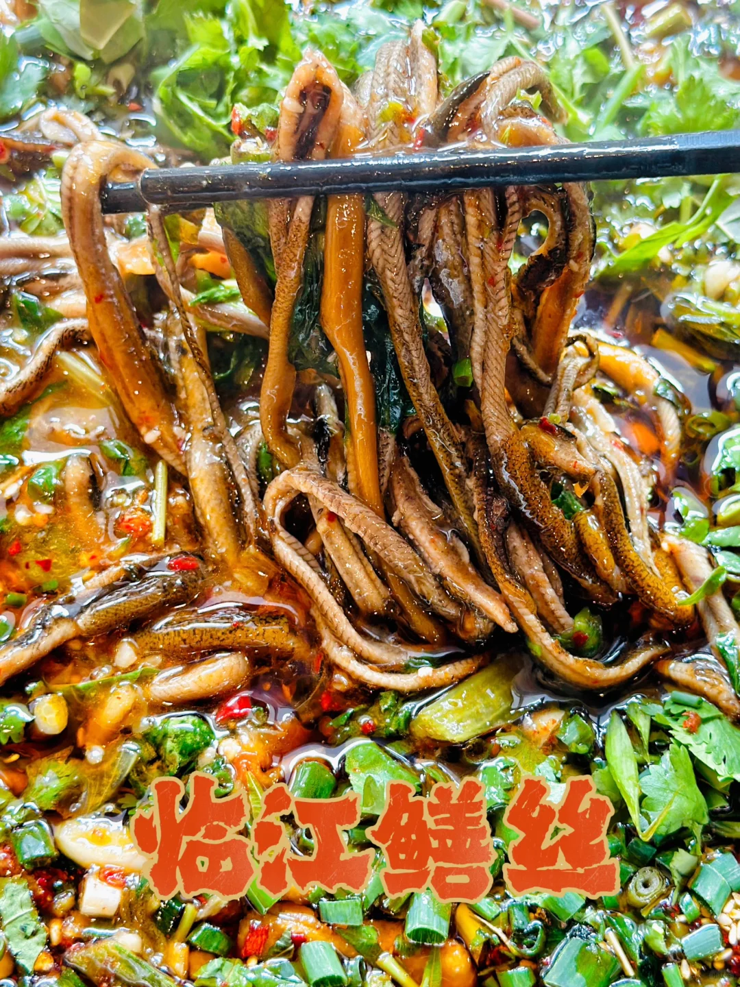 乐山一日游特种兵攻略(附地图)