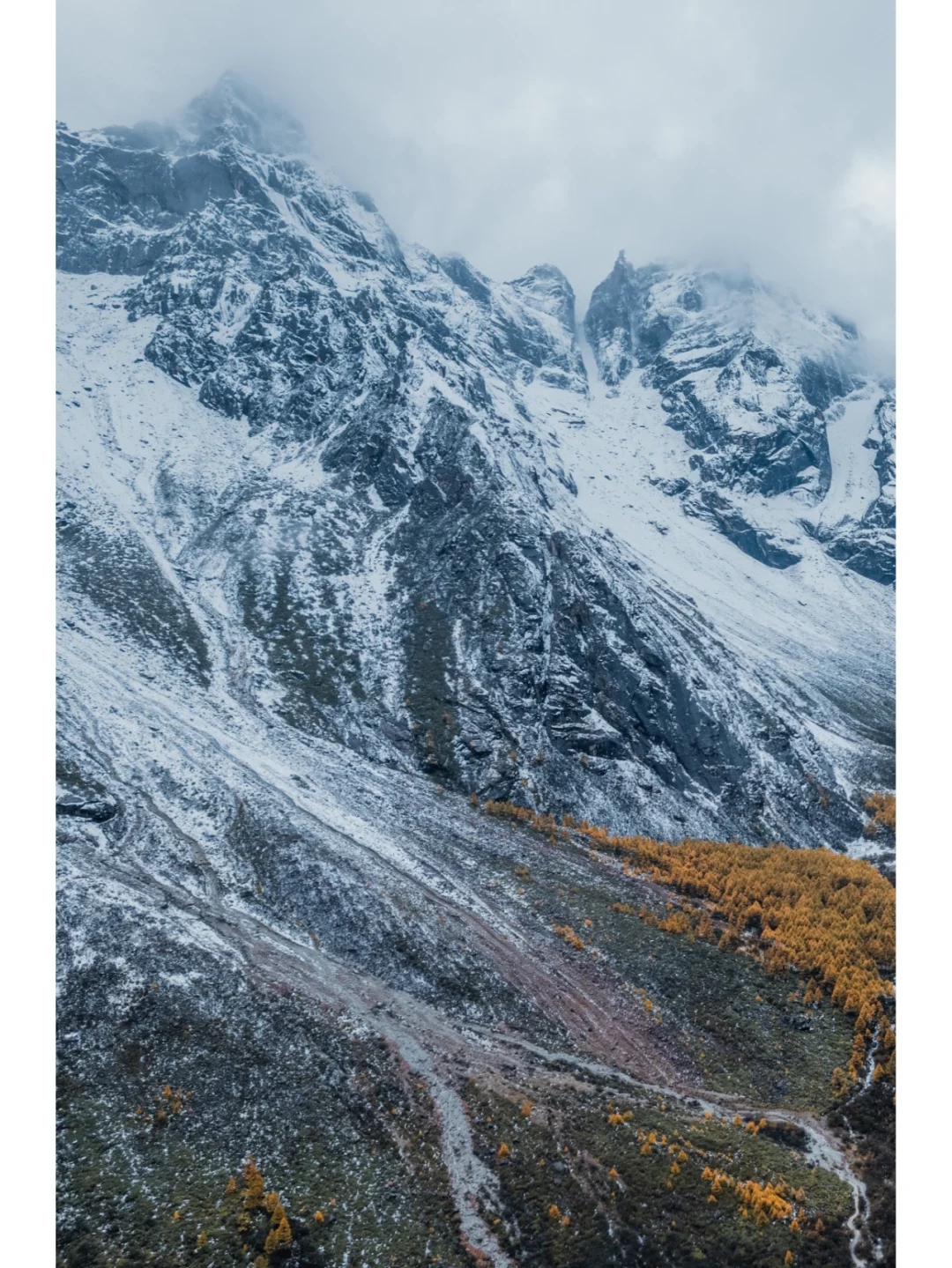 毕棚沟才回‼快来抄作业，巨巨巨详细‼