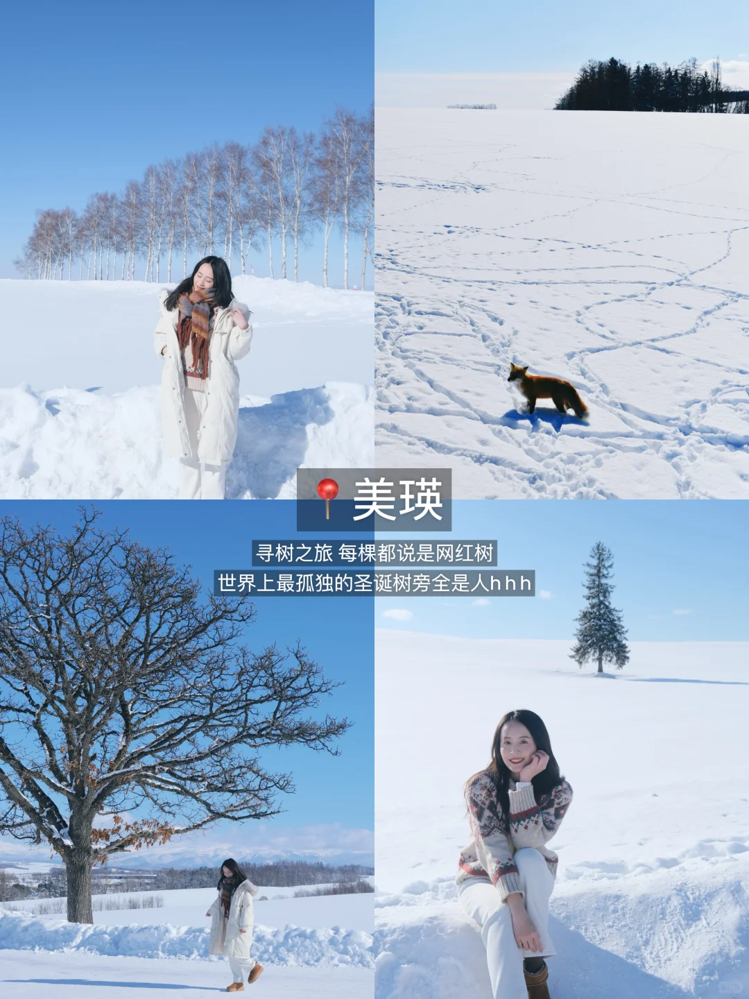 北海道6天5夜🇯🇵J人保姆级旅行攻略‼️收藏