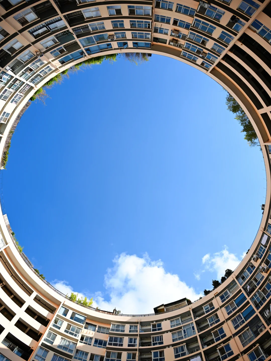 昆明去了，海鸥喂了，2天citywalk路线很满意