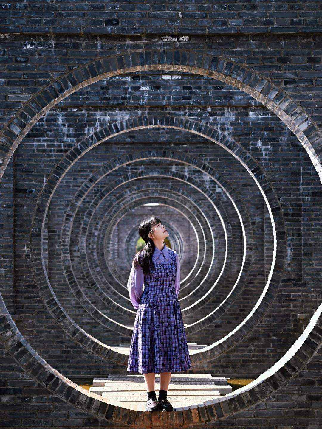 昆明去了，海鸥喂了，2天citywalk路线很满意